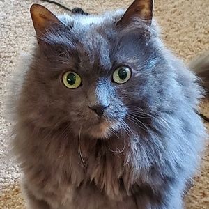 Meet your Posher, Jen